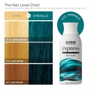 K22_PDP_Hair-Chart.jpg
