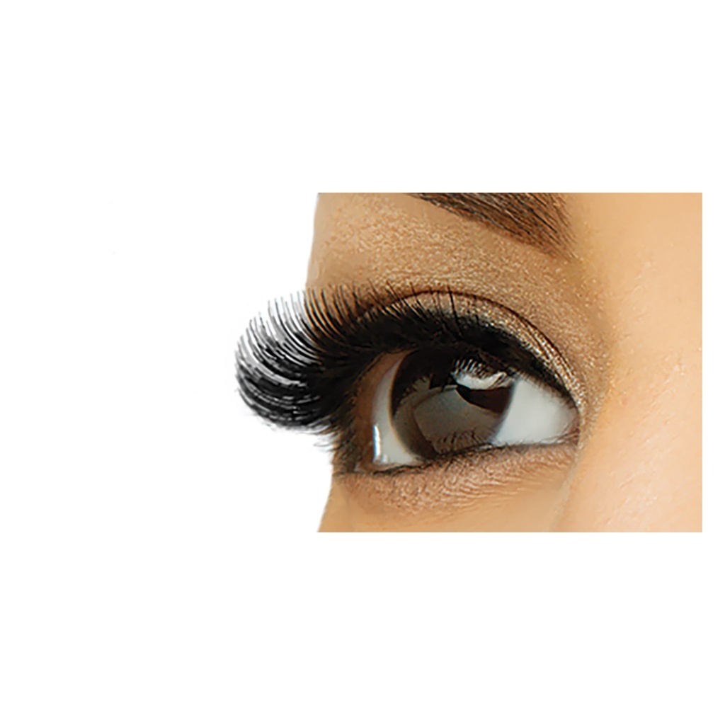 iEnvy_KPE12_Application_Model_Mar152009.jpg