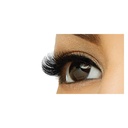 iEnvy_KPE12_Application_Model_Mar152009.jpg