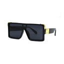 Classic Sunglasses #01