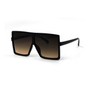 Classic Sunglasses #09