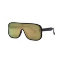 Contemporary Sunglasses #10