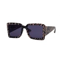 Contemporary Sunglasses #13