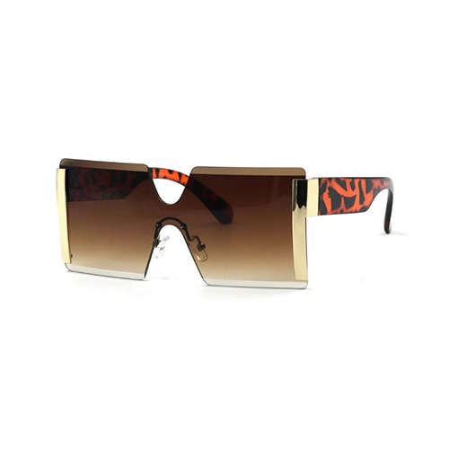 Retro Sunglasses #18