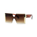 Retro Sunglasses #18