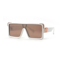 Classic Sunglasses #21