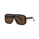 Retro Sunglasses #25
