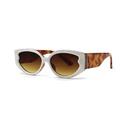 Contemporary Sunglasses #28