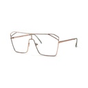 Clear Metal Frame Shades #30