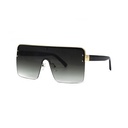 Retro Sunglasses #32
