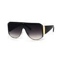 Contemporary Sunglasses #36