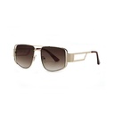 Contemporary Sunglasses #38
