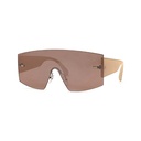 Contemporary Sunglasses #55