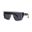 Luxury Sunglasses #56