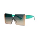 Sunset Sunglasses #03