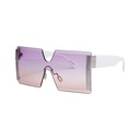 Sunset Sunglasses #05