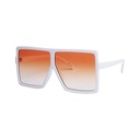 Sunset Sunglasses #10