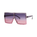 Sunset Sunglasses #15