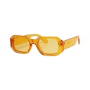 Vibrant Sunglasses #28