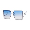Sunset Sunglasses #55