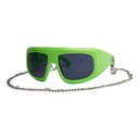 Vibrant Sunglasses #59