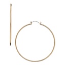 Gold / Silver Plated Pincatch Hoop Earrings