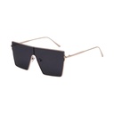 Oversized Flat Top Sunglasses #54