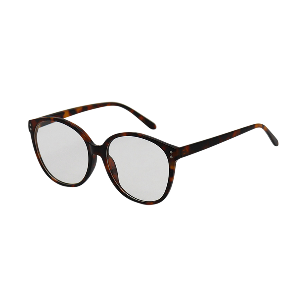 Round Tortoise Eyeglasses #29