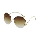 Semi-Rimless Round Tinted Sunglasses #48